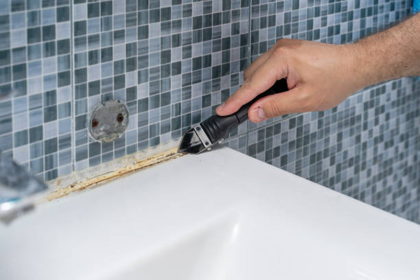 Best Basement Mold Remediation in Staic, CA