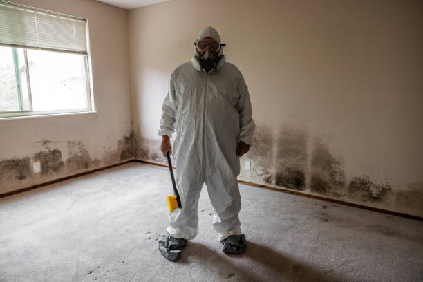 Best Crawl Space Mold Remediation in Staic, CA